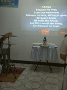 278114943-1319596735201066-6464970470999015158-n