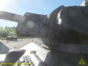 IMG-5521