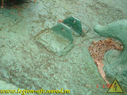 DSCN0079