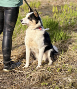 IMG_20230417_005446_122