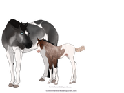 34CA657C-2B0D-43E4-99AC-5210F9185CE9