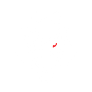 Falcons Esports