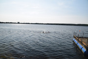 DSC-0076