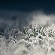 엔환율