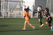 IMG-3723
