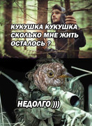 0cddffd9bd95e877fb992543ddb4ac2a.jpg