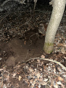 06D88939-A5DD-4B5C-85FF-77D2672E8F1F