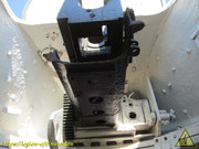 IMG-3442