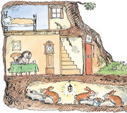 White rabbit dig under owl