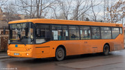IMG-4503
