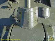 IMG-5560