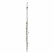 how to clean a flute - student flute keys and body