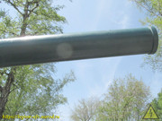 IMG-5343