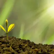대전신용보증재단