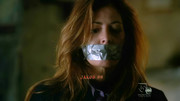 Dana Delany 2 - Castle S02E18