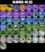 gliders-comp