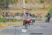 IMG-3033