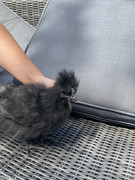 C47455DC-6EF8-482D-8D9A-C2EDFC1846C0