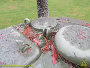 IMG-5137