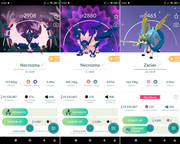 Polish 20260217 131445809