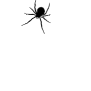 animaatjes-spinnen-92722