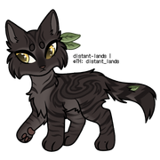 charcoal sokoke tabby