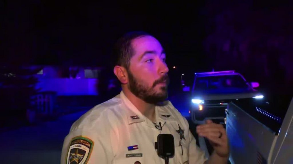 [Image: k6gim9r6ri5n.jpg]