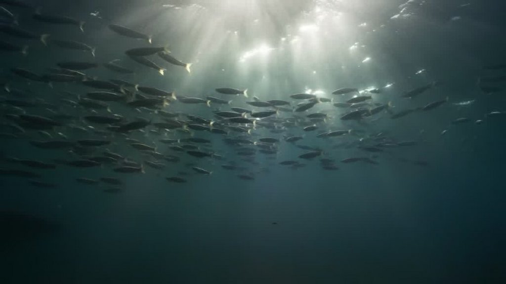 [Image: jvxf0r6o6n1m.jpg]