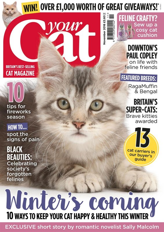 Your-Cat-November-2016.jpg