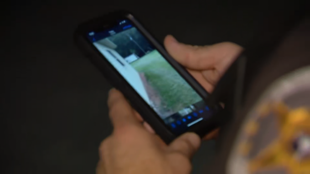 [Image: mqt78ebs8wf4.png]