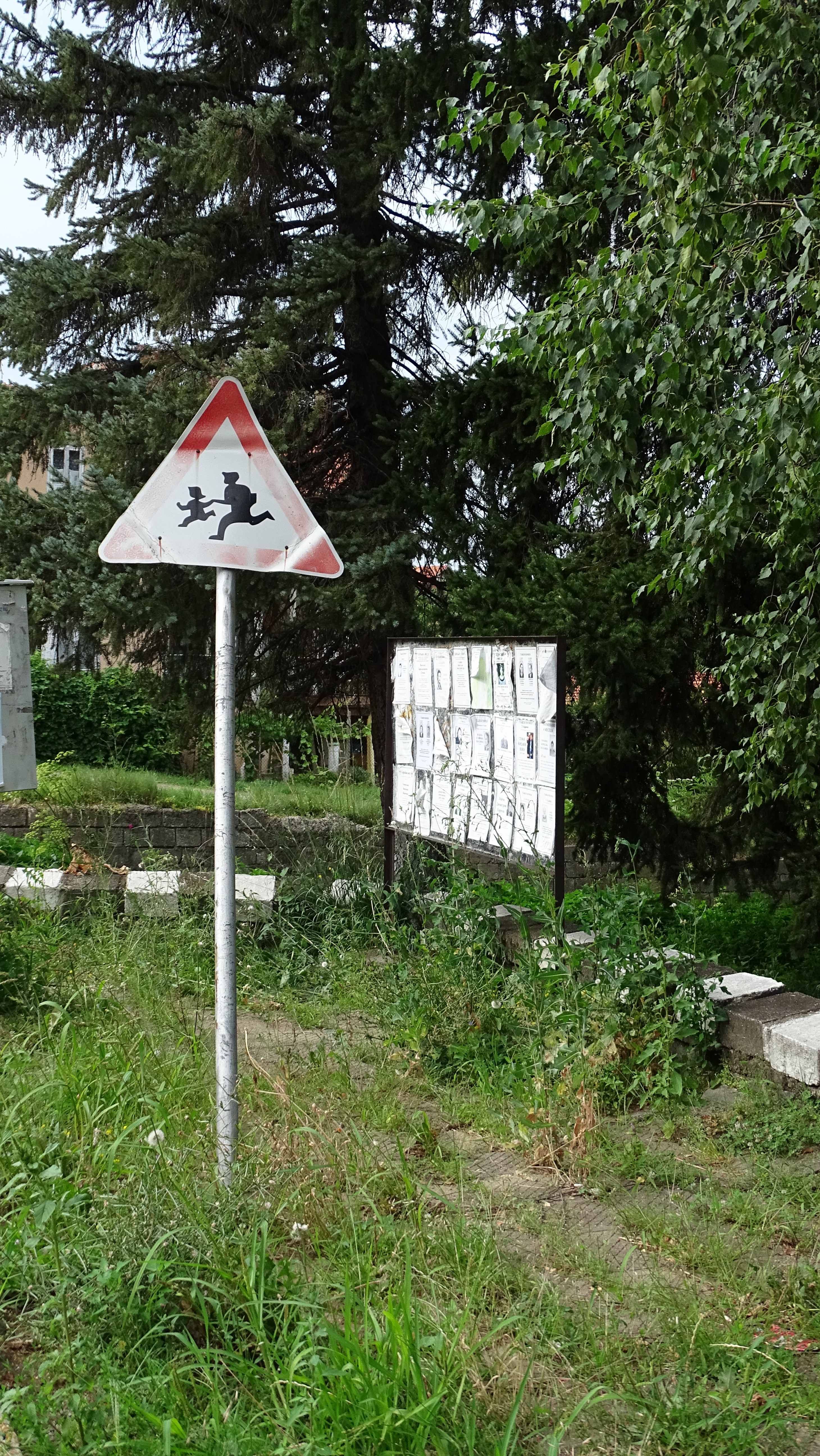 DSC02082.jpg