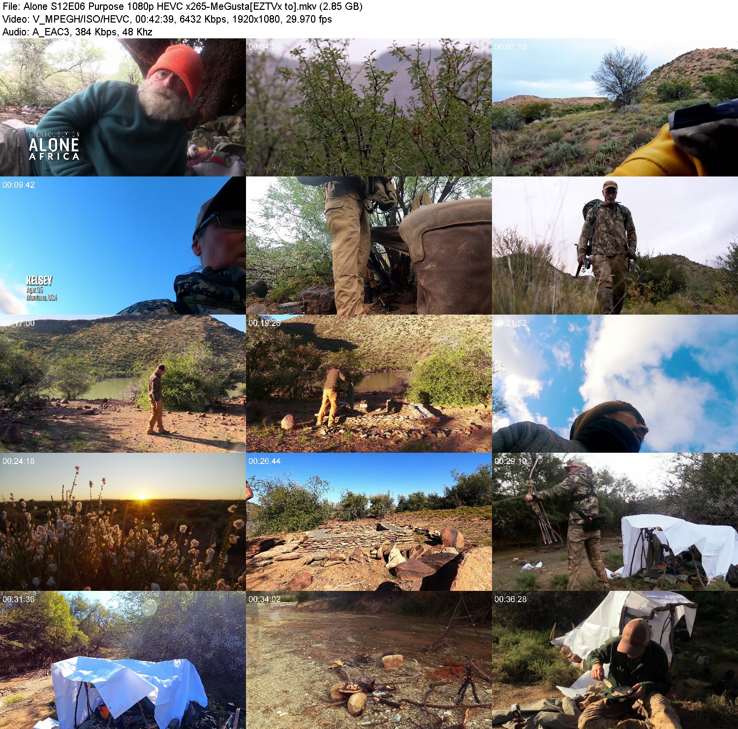 [Image: 39j4earvszm2.jpg]