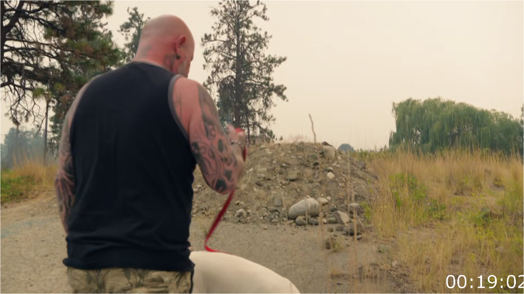 [Image: ywwu27o0x3lk.png]