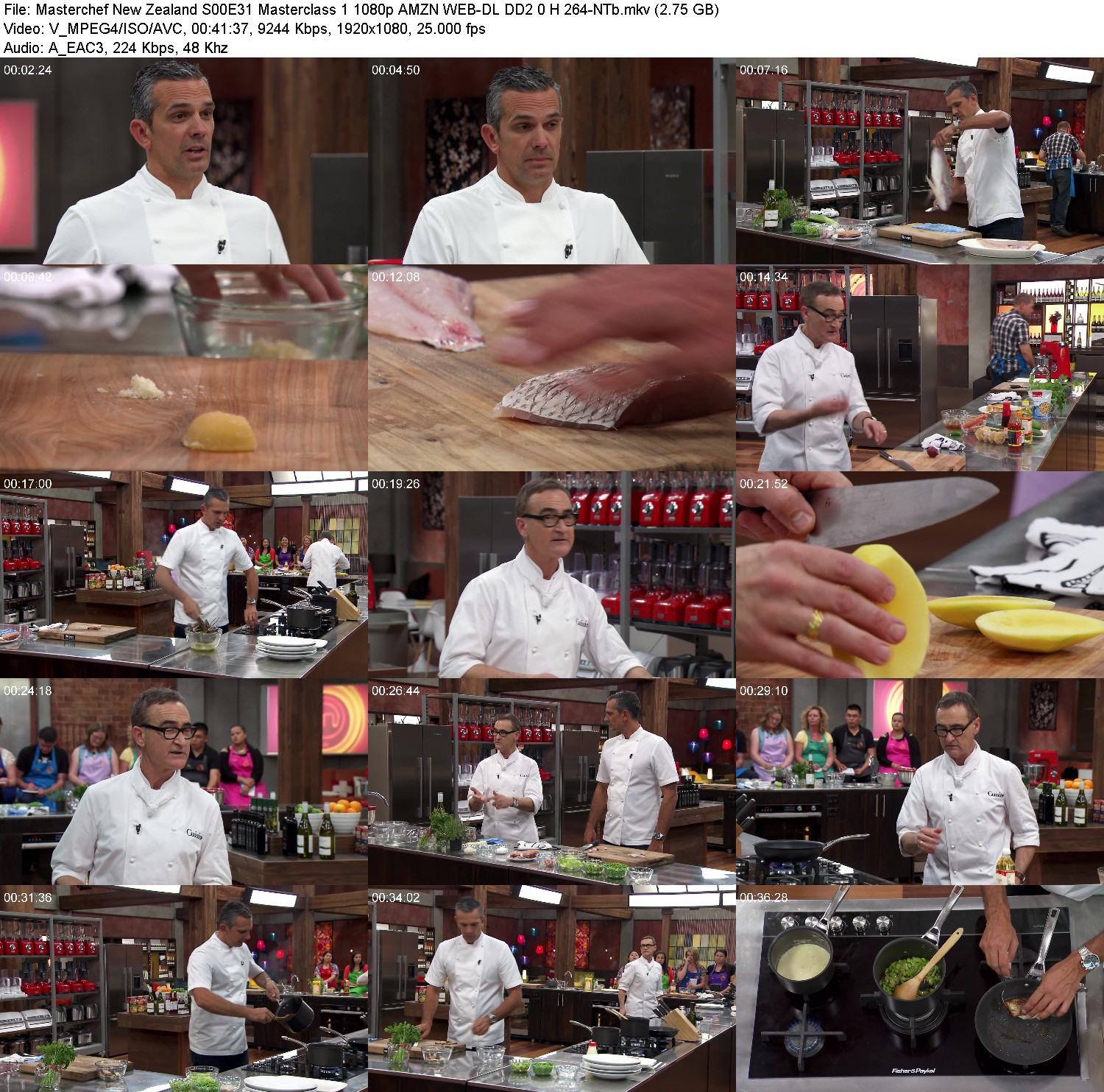 [Image: 41ci04xaudle.jpg]