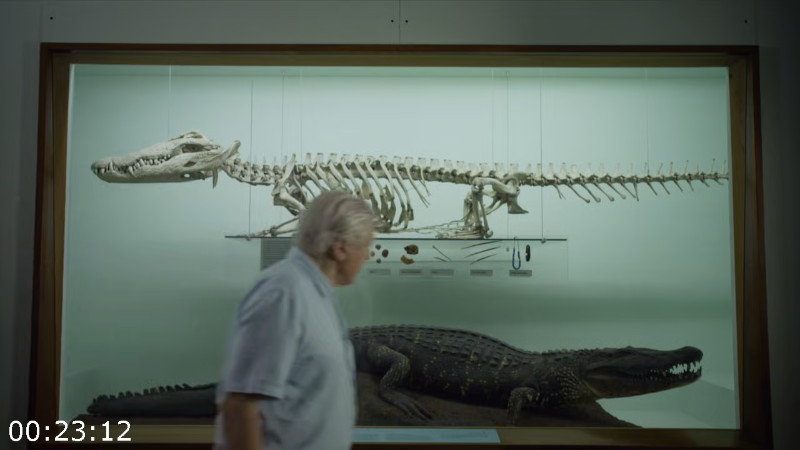 [Image: 0dtlpz0ye4l1.png]