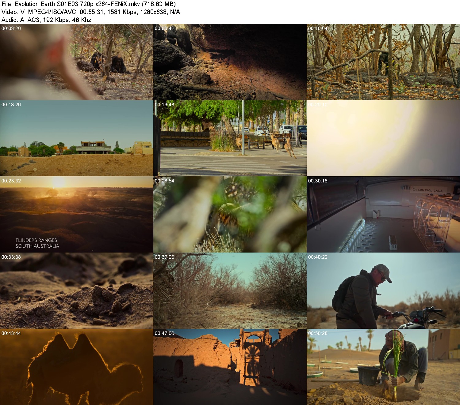 [Image: fged1u1ga2g4.jpg]