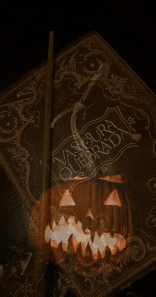 01-vassouraquebrada.gif