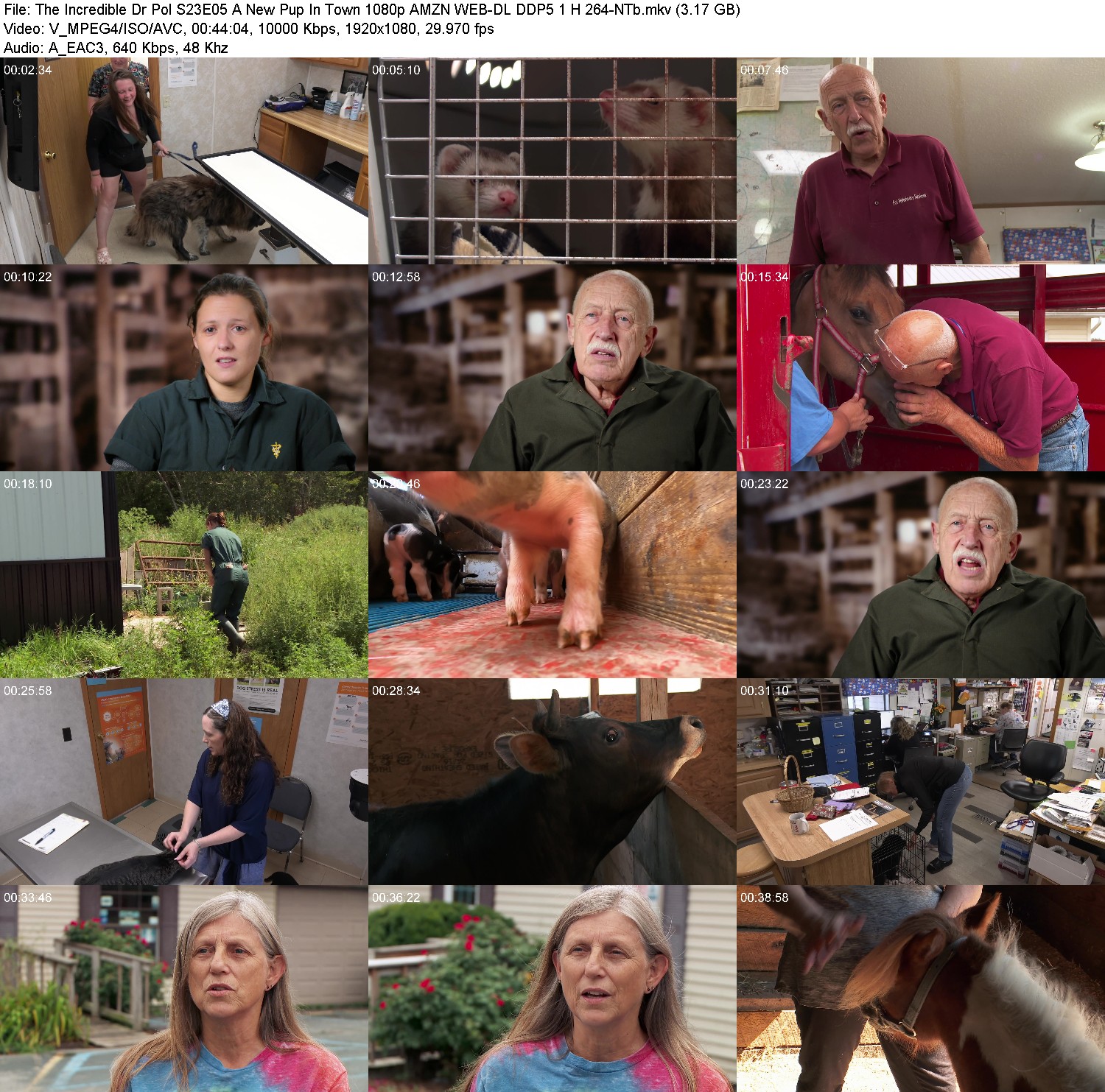 [Image: kkke497rqj4b.jpg]