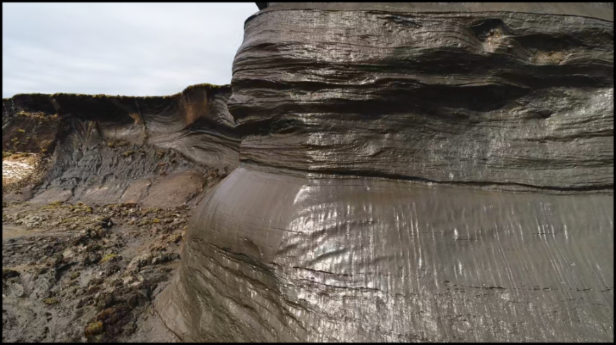 [Image: h0kizi9bk5p0.png]