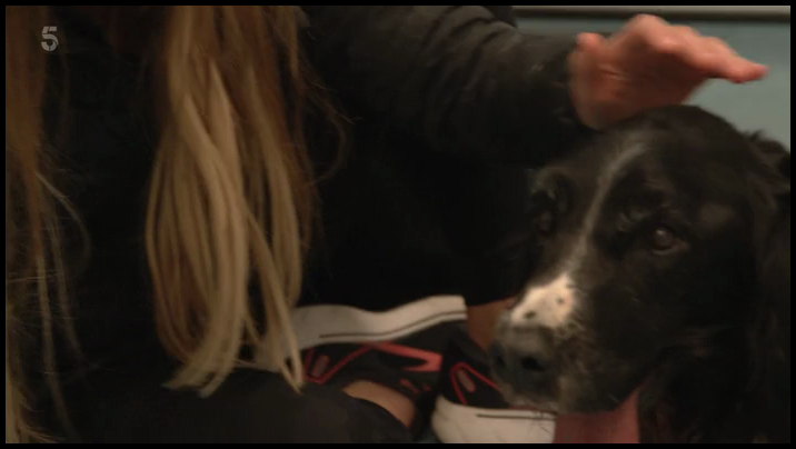 [Image: e6t725tdzxga.png]