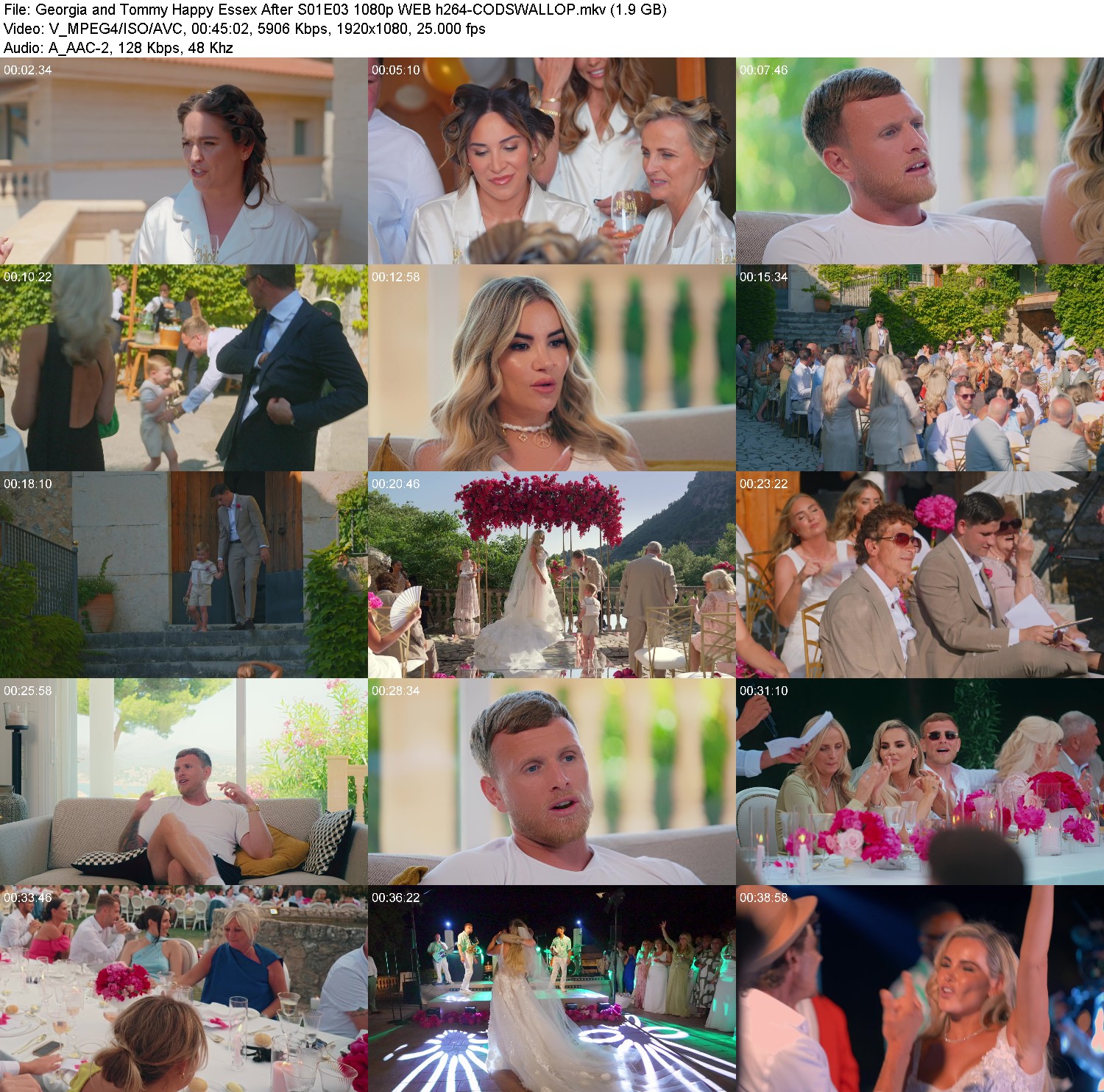 [Image: z8yrq1s5r4hn.jpg]