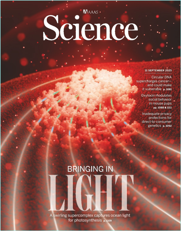 Science Issue 6765 Volume 389.11 September 2025