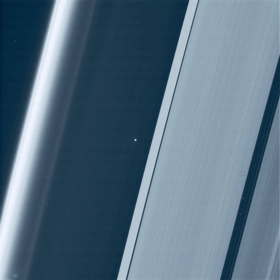 51612582-788169241541202-7750612615591624704-n-1.jpg