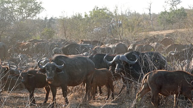 [Linked Image from i.postimg.cc]