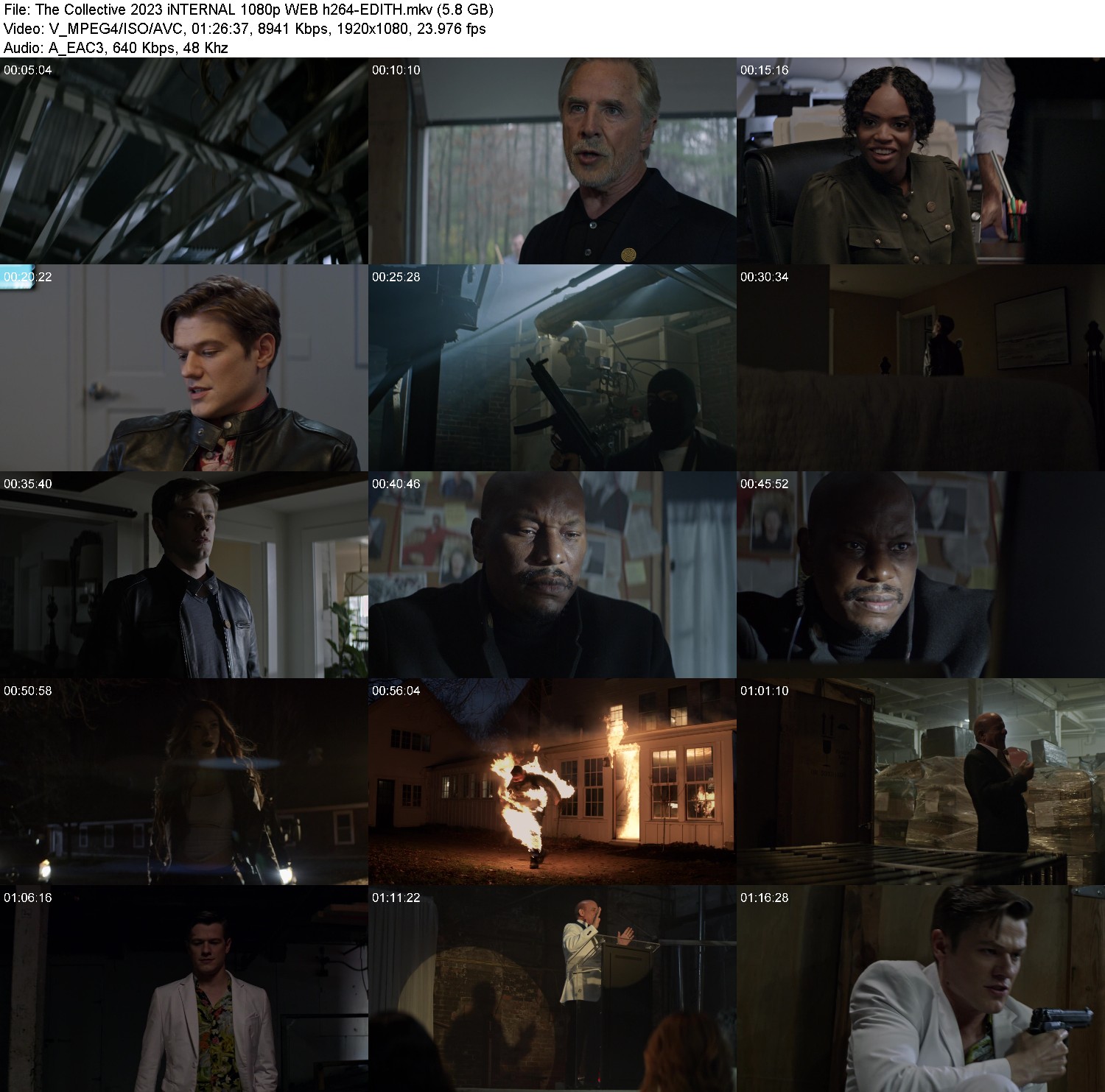 [Image: k100stkg8fgy.jpg]