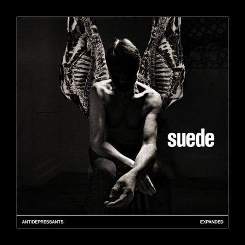 Suede - Antidepressants: Expanded (2026) MP3