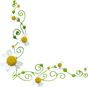 0_17d57b_4ab06bb9_X5L