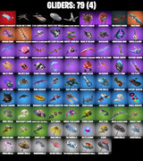 gliders-comp