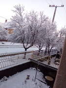 https://i.postimg.cc/Xp7YkkcQ/IMG-20201130-073859-1.jpg