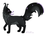 export202409192111008489